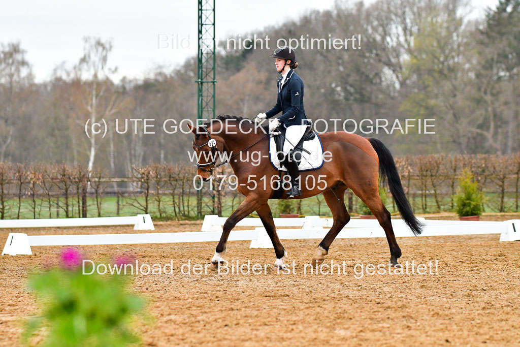 Reitsportzentrum Bremervörde | 170421 Dressurreiter A_187