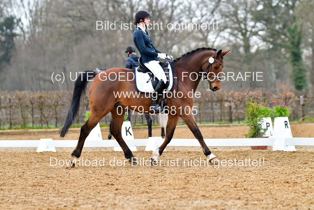 Reitsportzentrum Bremervörde | 170421 Dressurreiter A_188 