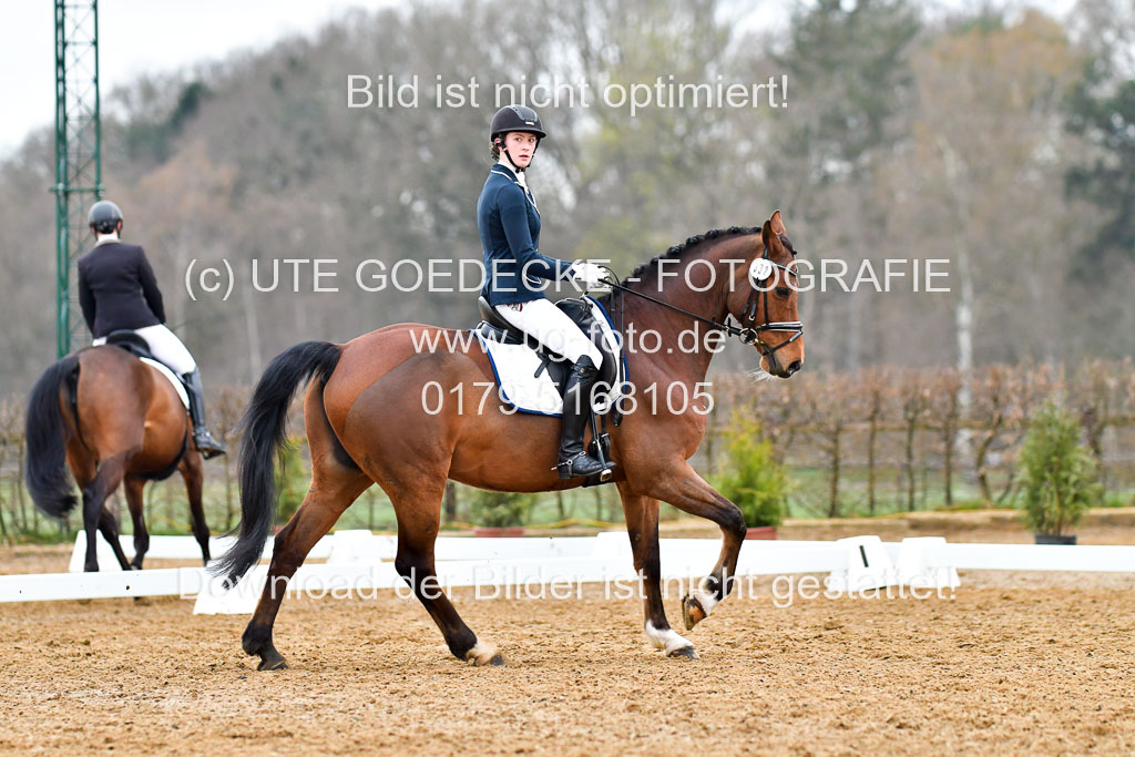 Reitsportzentrum Bremervörde | 170421 Dressurreiter A_197 