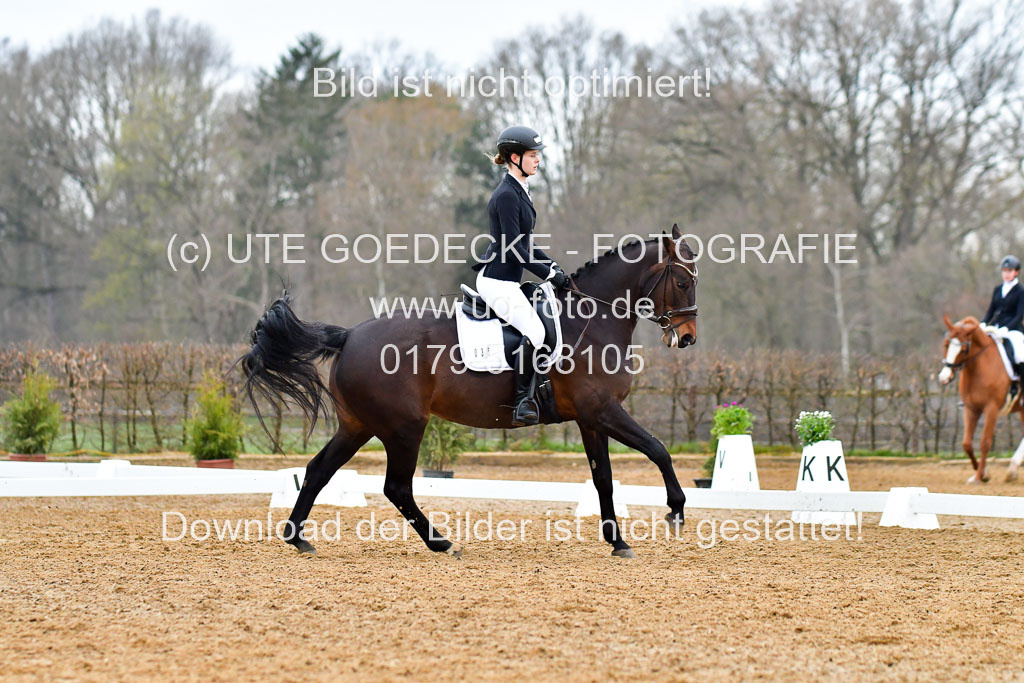 Reitsportzentrum Bremervörde | 170421 Dressurreiter A_200 