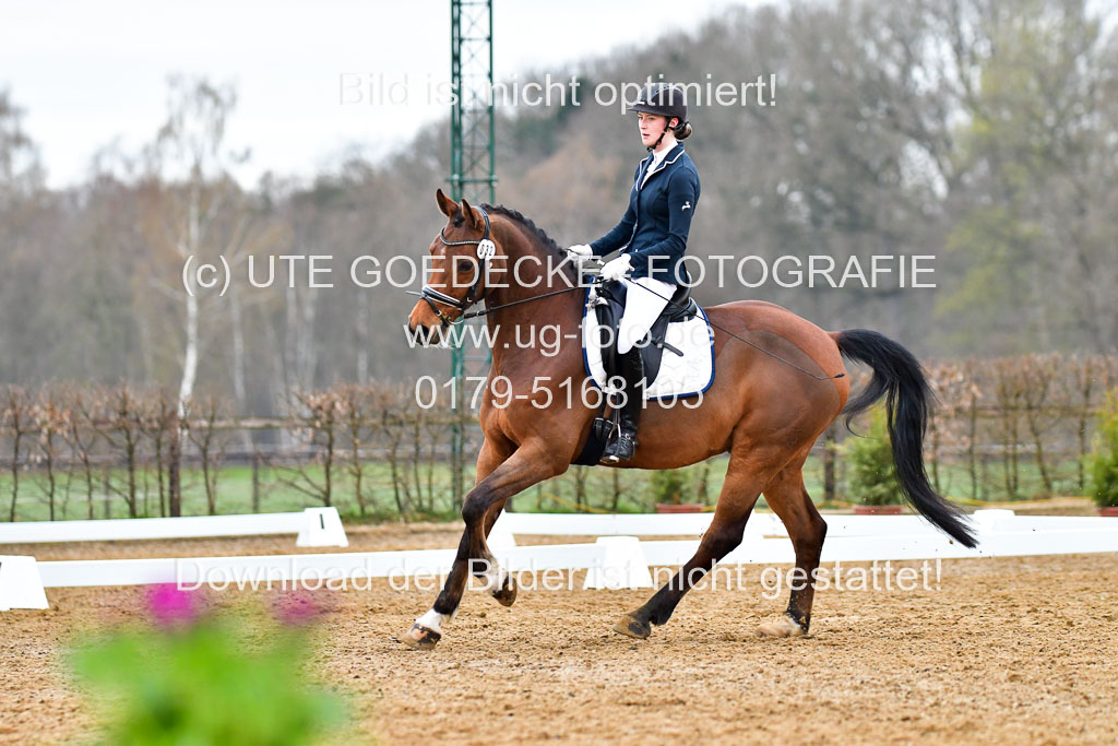 Reitsportzentrum Bremervörde | 170421 Dressurreiter A_203