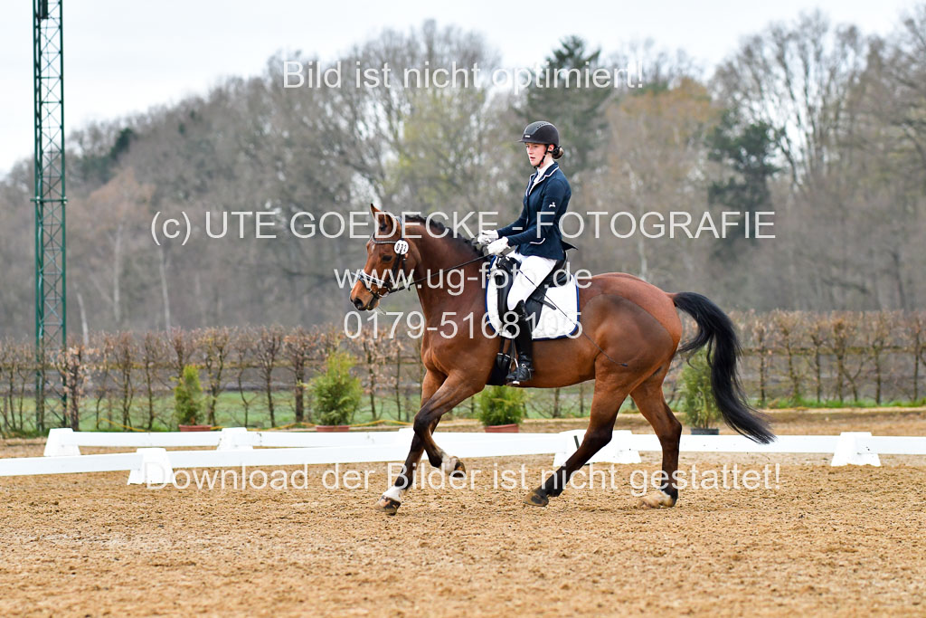 Reitsportzentrum Bremervörde | 170421 Dressurreiter A_205