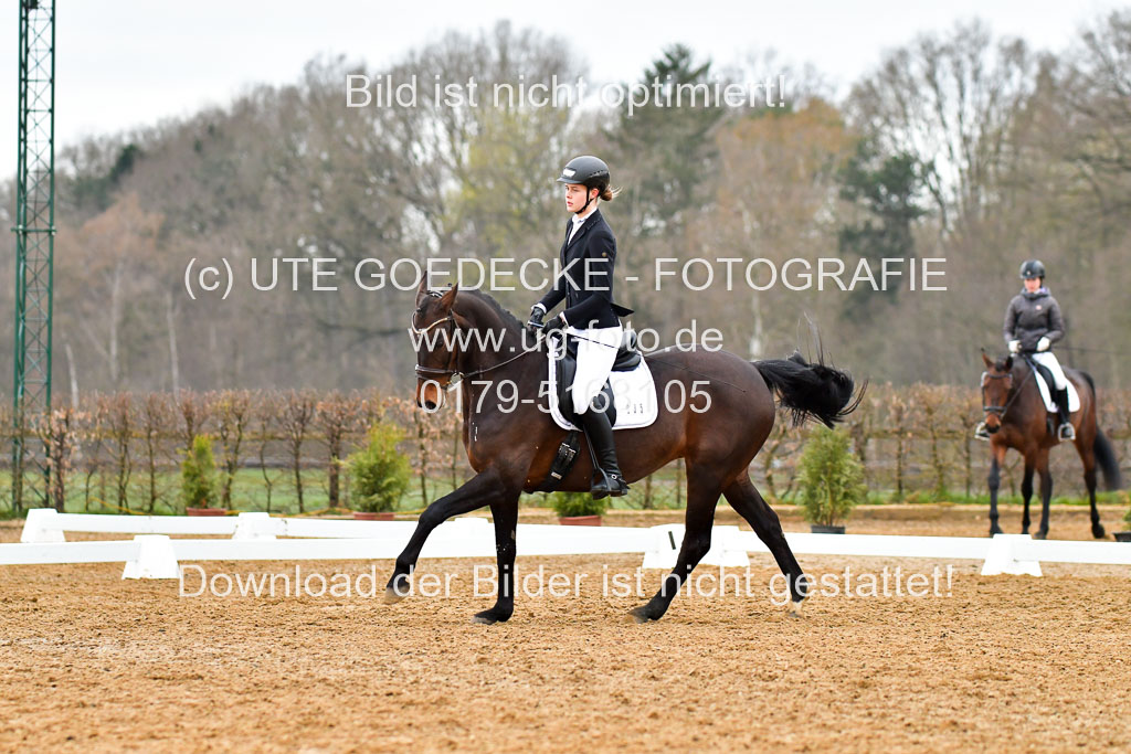 Reitsportzentrum Bremervörde | 170421 Dressurreiter A_206 