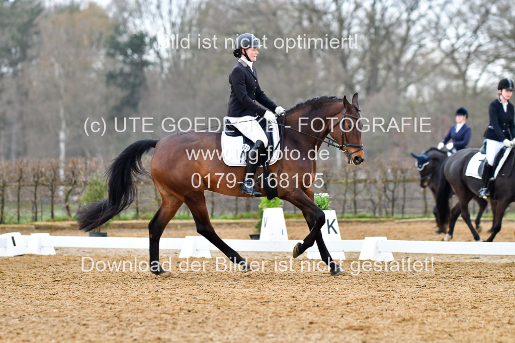 Reitsportzentrum Bremervörde | 170421 Dressurreiter A_217
