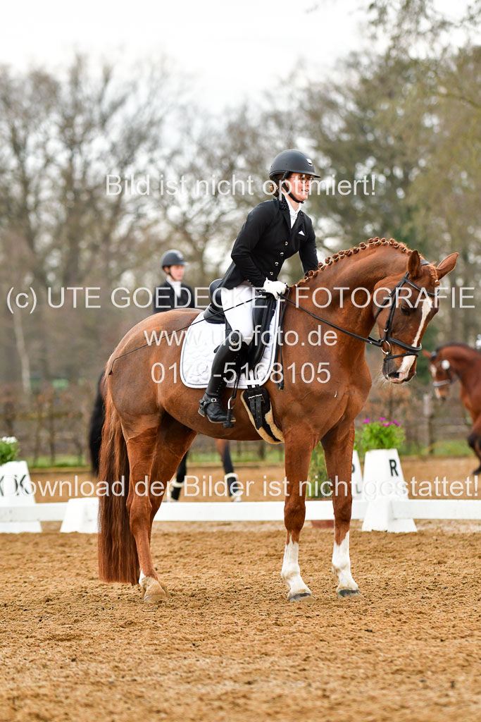 Reitsportzentrum Bremervörde | 170421 Dressurreiter A_221 