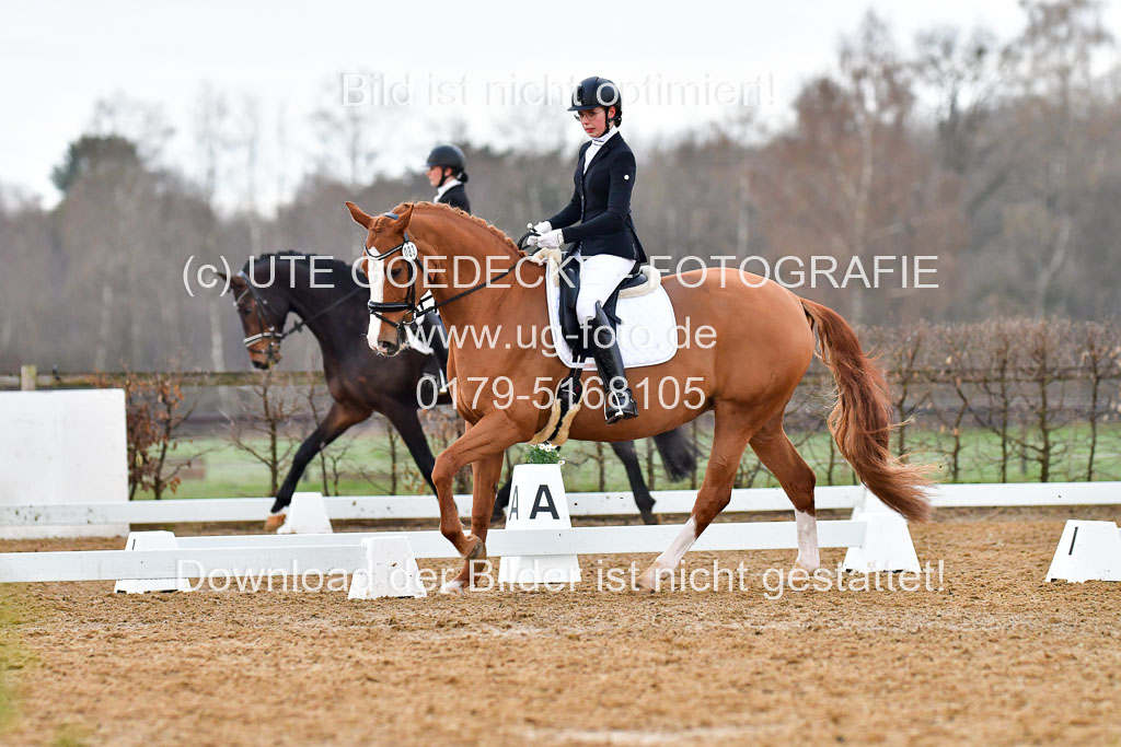 Reitsportzentrum Bremervörde | 170421 Dressurreiter A_223