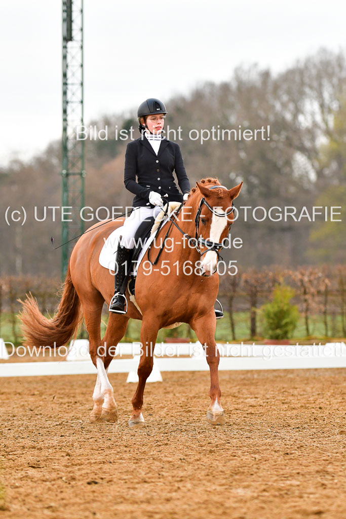Reitsportzentrum Bremervörde | 170421 Dressurreiter A_226 