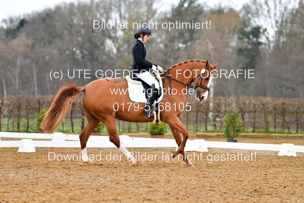 Reitsportzentrum Bremervörde | 170421 Dressurreiter A_230 