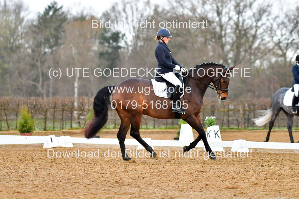 Reitsportzentrum Bremervörde | 170421 Dressurreiter A_234