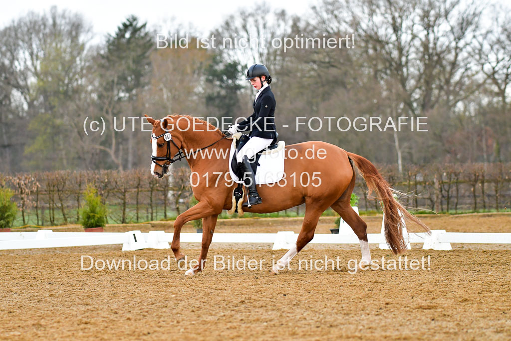 Reitsportzentrum Bremervörde | 170421 Dressurreiter A_236 