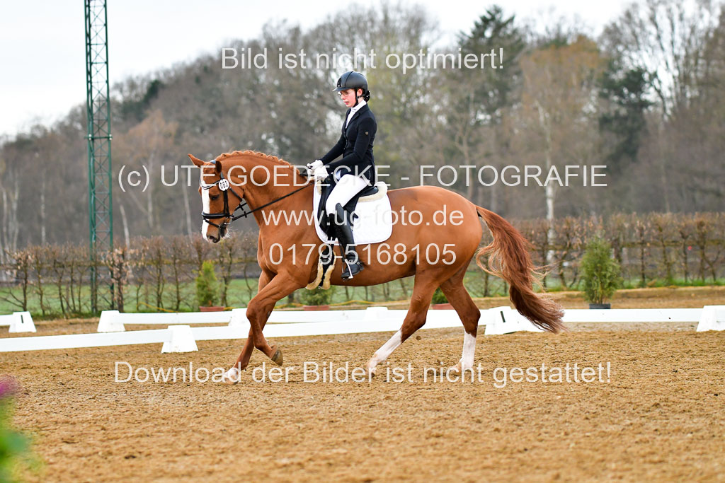 Reitsportzentrum Bremervörde | 170421 Dressurreiter A_237 