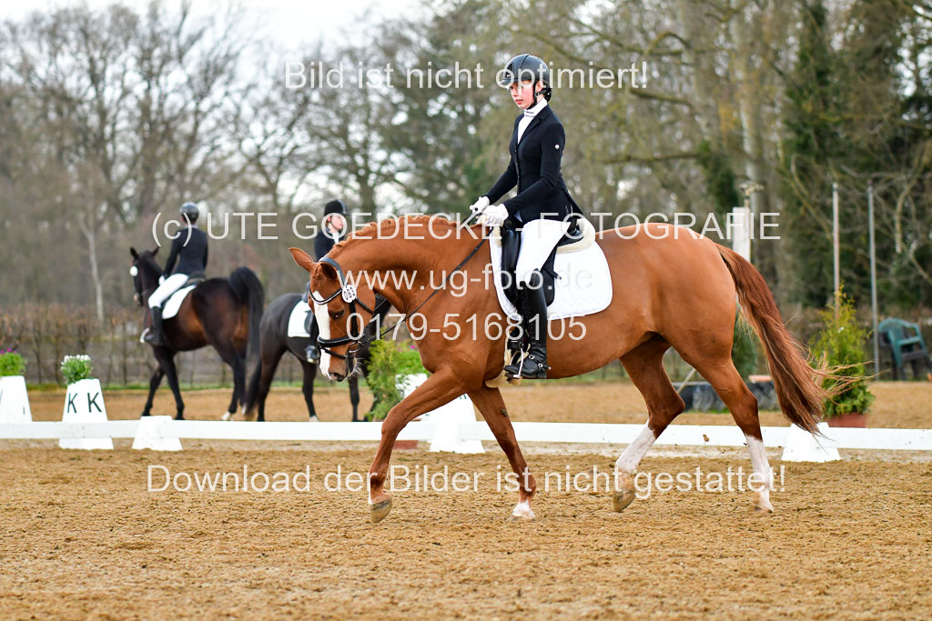 Reitsportzentrum Bremervörde | 170421 Dressurreiter A_240