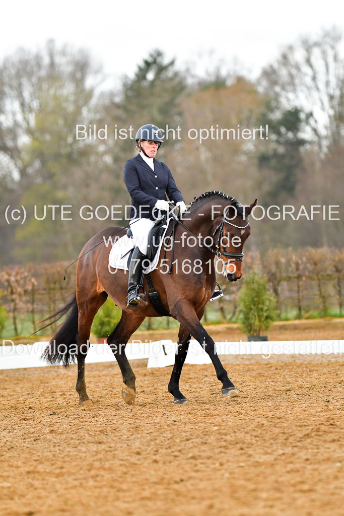 Reitsportzentrum Bremervörde | 170421 Dressurreiter A_242 