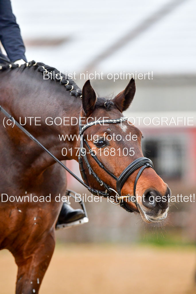 Reitsportzentrum Bremervörde | 170421 Dressurreiter A_243