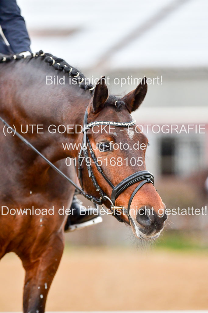 Reitsportzentrum Bremervörde | 170421 Dressurreiter A_244