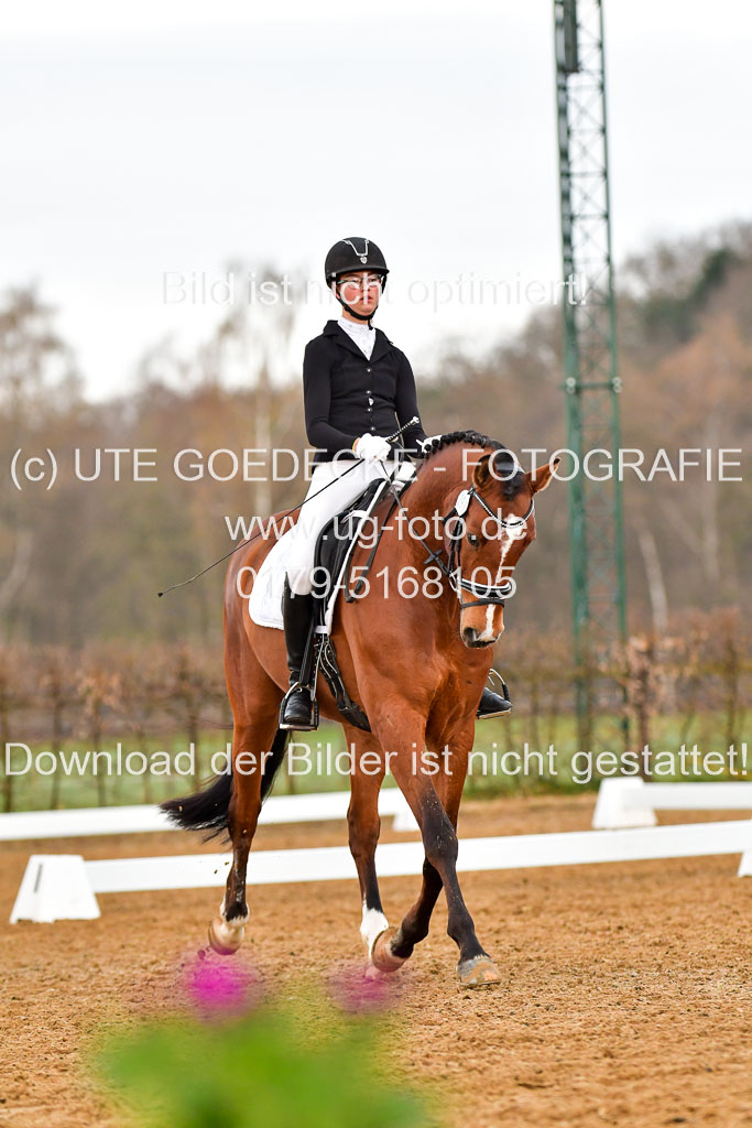 Reitsportzentrum Bremervörde | 170421 Dressurreiter A_250 