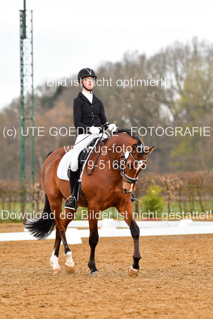 Reitsportzentrum Bremervörde | 170421 Dressurreiter A_251 