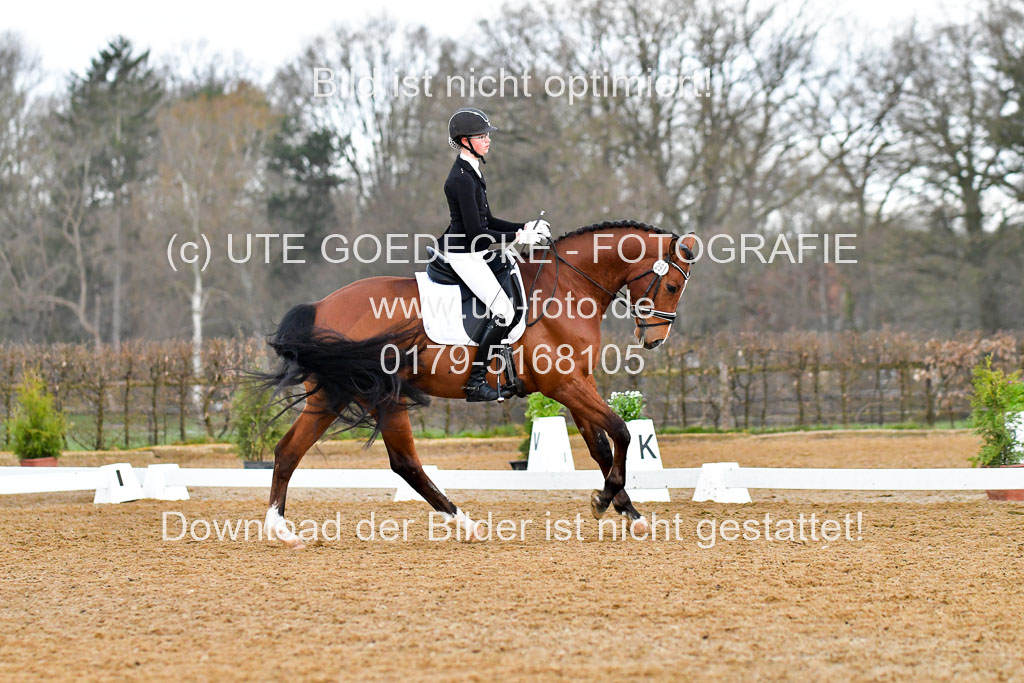 Reitsportzentrum Bremervörde | 170421 Dressurreiter A_257 