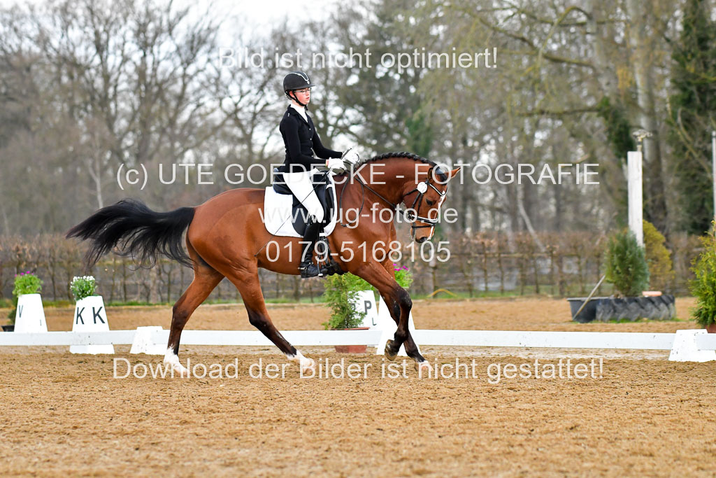 Reitsportzentrum Bremervörde | 170421 Dressurreiter A_258 