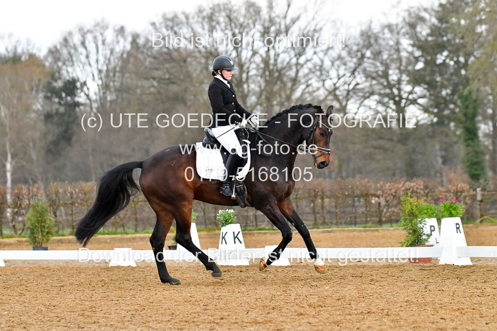 Reitsportzentrum Bremervörde | 170421 Dressurreiter A_260