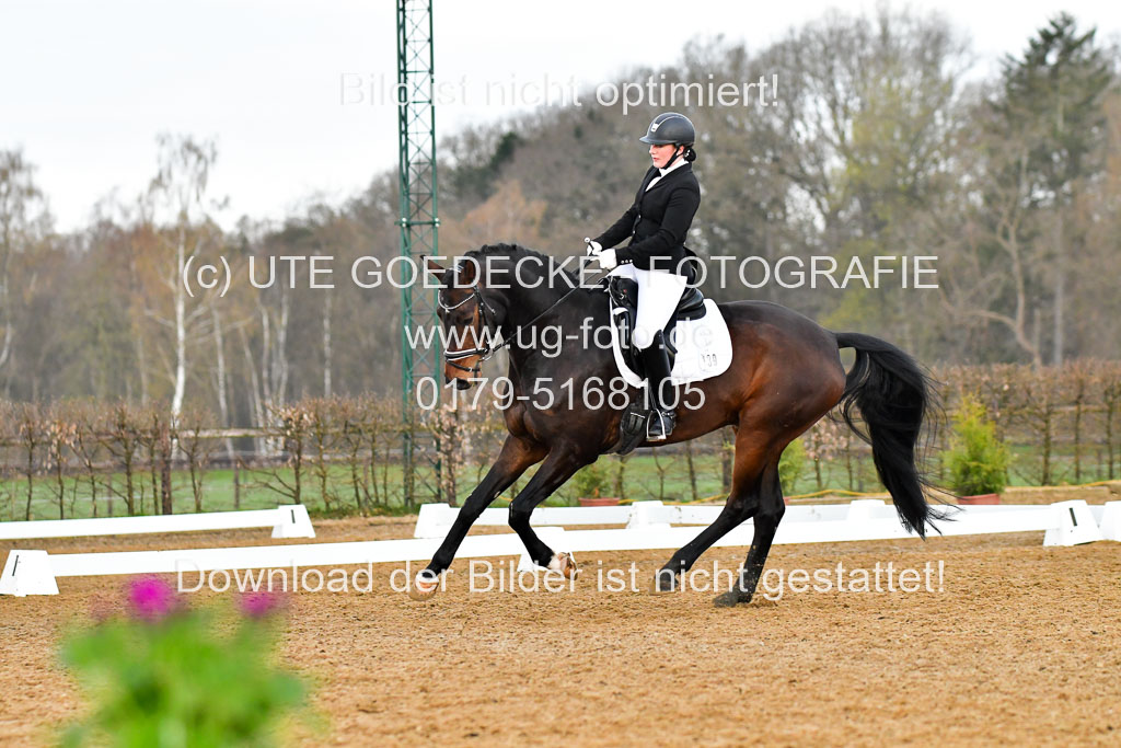 Reitsportzentrum Bremervörde | 170421 Dressurreiter A_264 
