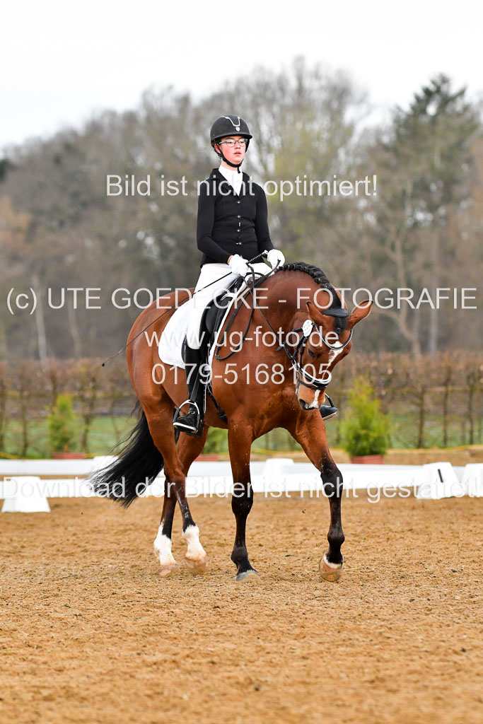 Reitsportzentrum Bremervörde | 170421 Dressurreiter A_267 