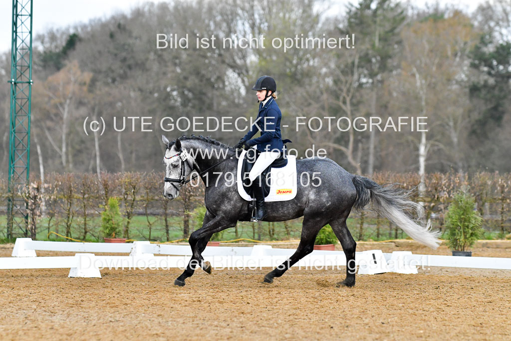 Reitsportzentrum Bremervörde | 170421 Dressurreiter A_279 