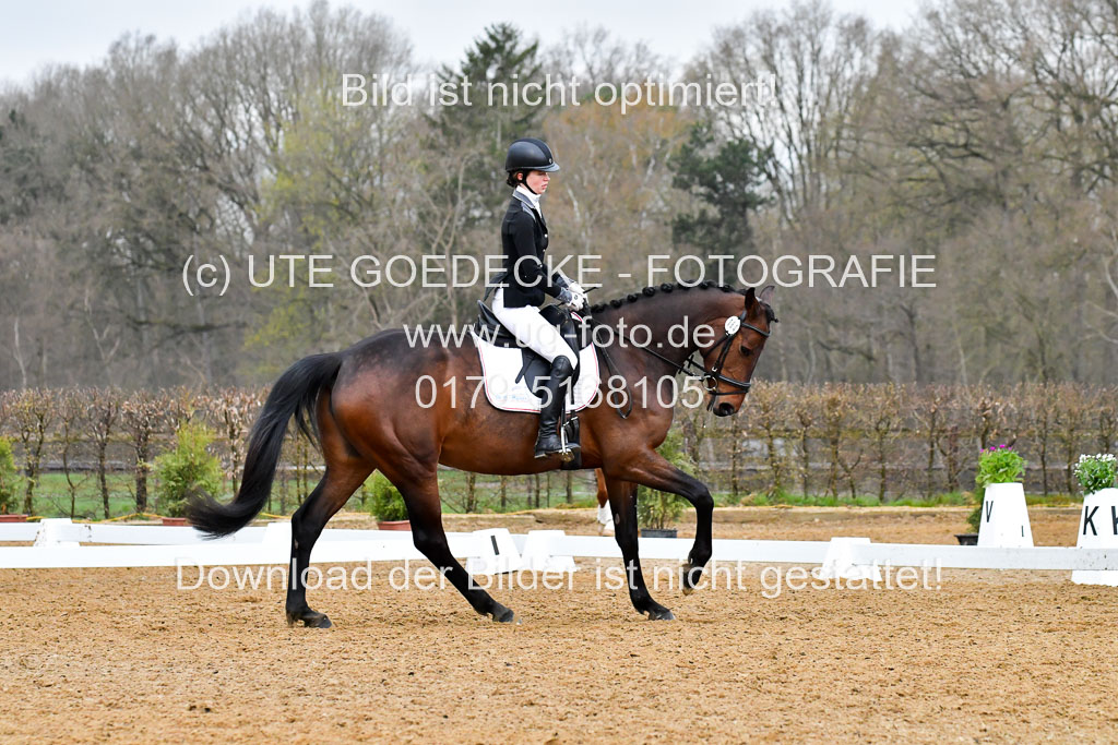 Reitsportzentrum Bremervörde | 170421 Dressurreiter A_309 