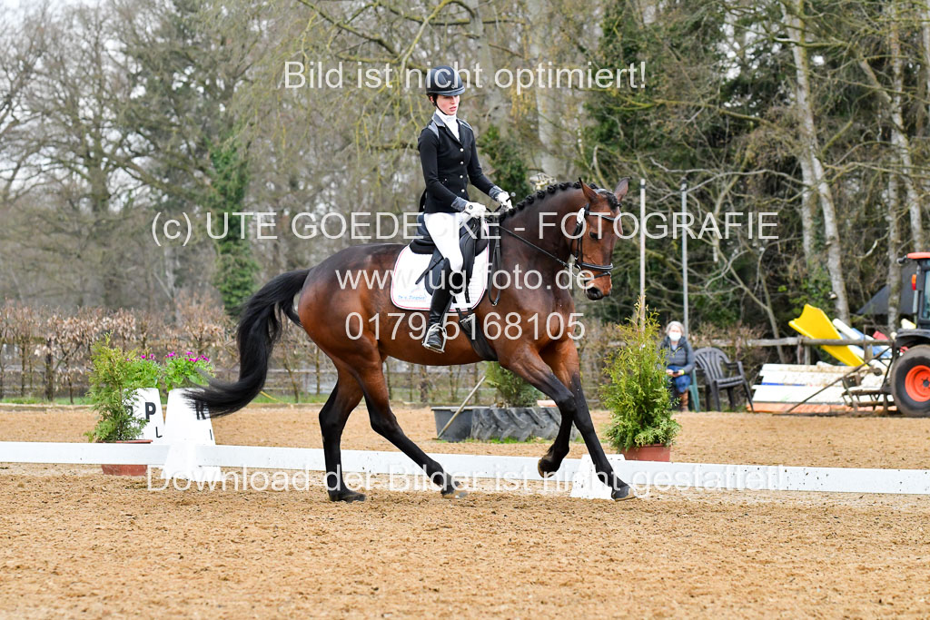 Reitsportzentrum Bremervörde | 170421 Dressurreiter A_310 