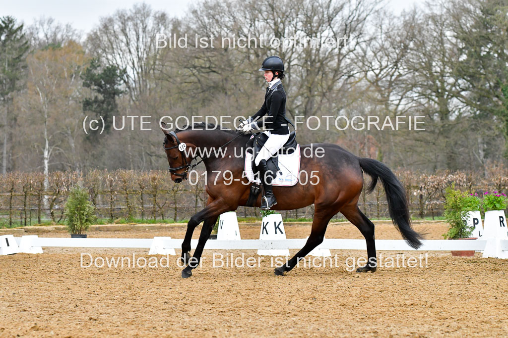 Reitsportzentrum Bremervörde | 170421 Dressurreiter A_313