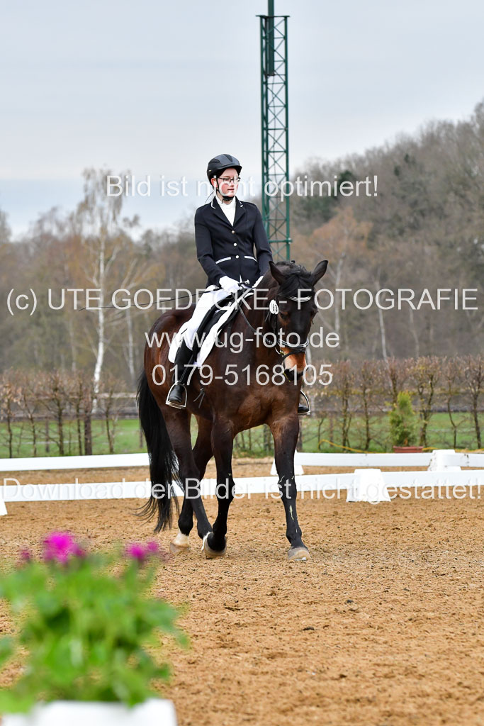 Reitsportzentrum Bremervörde | 170421 Dressurreiter A_315 