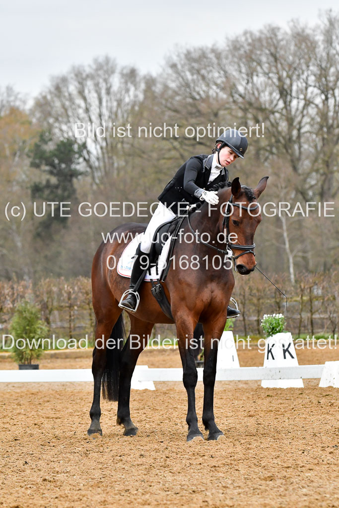 Reitsportzentrum Bremervörde | 170421 Dressurreiter A_317 