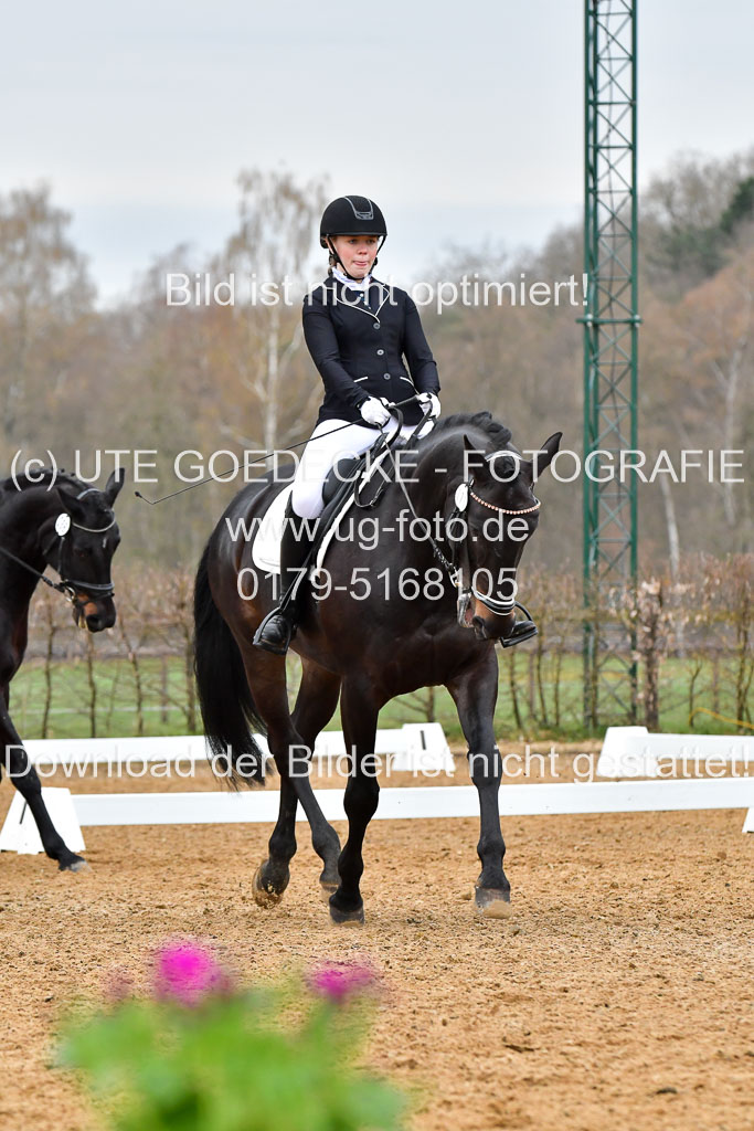 Reitsportzentrum Bremervörde | 170421 Dressurreiter A_319 