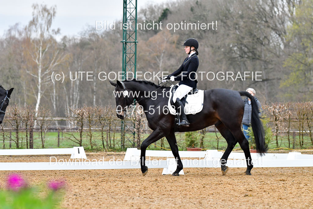 Reitsportzentrum Bremervörde | 170421 Dressurreiter A_323