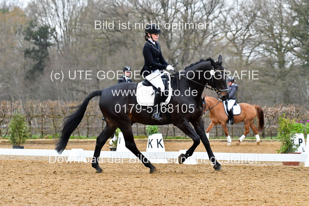Reitsportzentrum Bremervörde | 170421 Dressurreiter A_326 