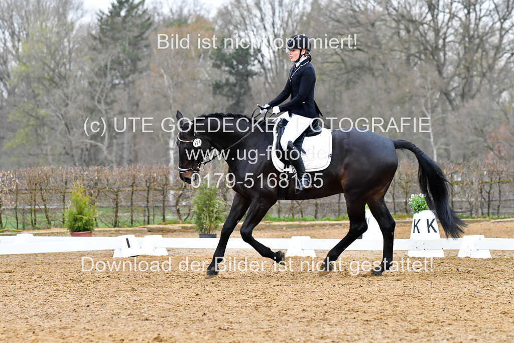 Reitsportzentrum Bremervörde | 170421 Dressurreiter A_329
