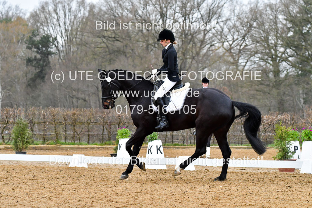 Reitsportzentrum Bremervörde | 170421 Dressurreiter A_331 