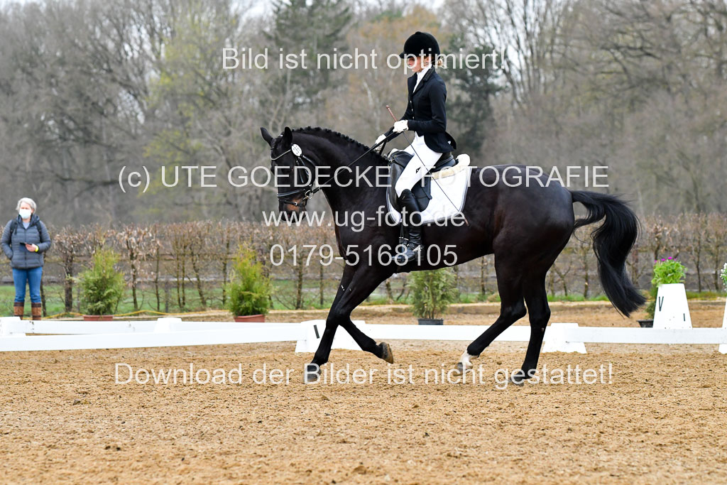 Reitsportzentrum Bremervörde | 170421 Dressurreiter A_332 