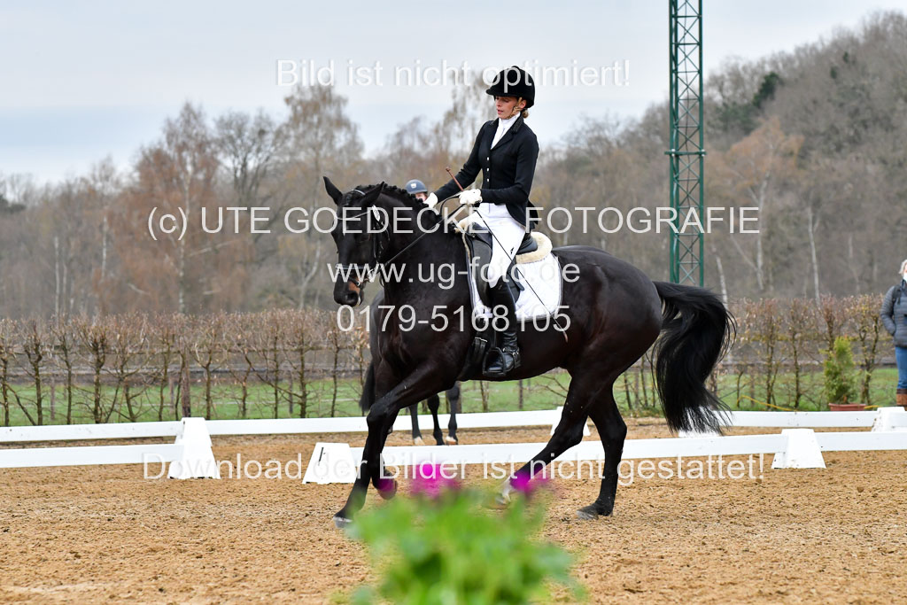 Reitsportzentrum Bremervörde | 170421 Dressurreiter A_333 