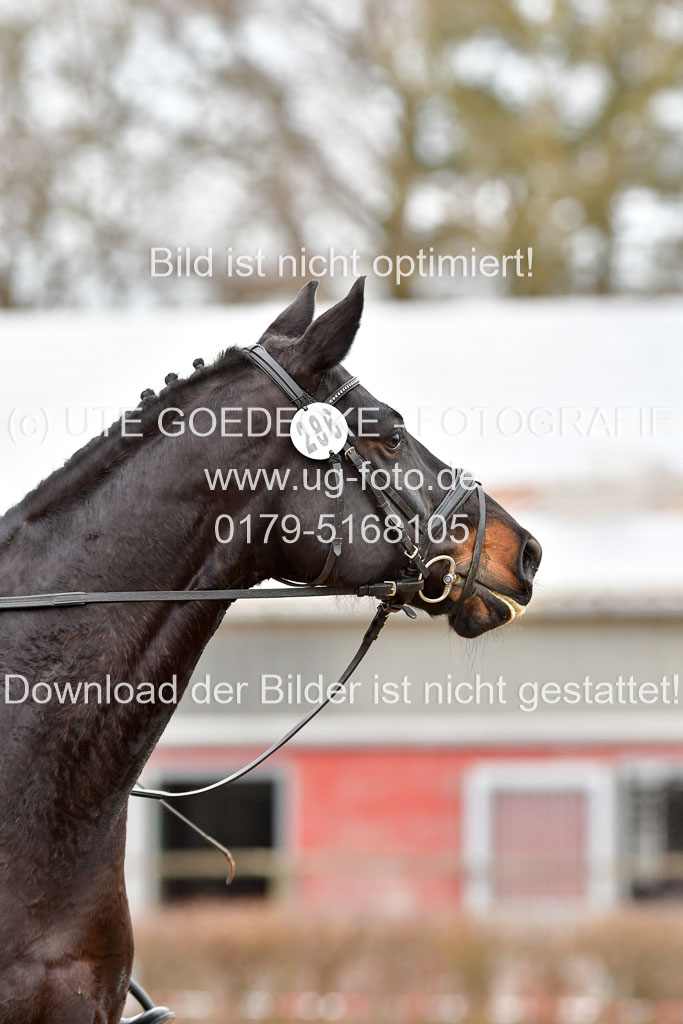 Reitsportzentrum Bremervörde | 170421 Dressurreiter A_340 