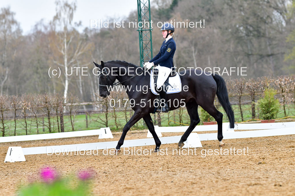 Reitsportzentrum Bremervörde | 170421 Dressurreiter A_348 