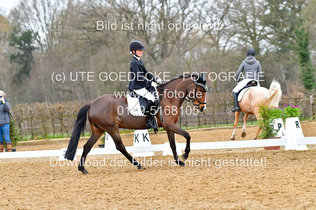 Reitsportzentrum Bremervörde | 170421 Dressurreiter A_353 