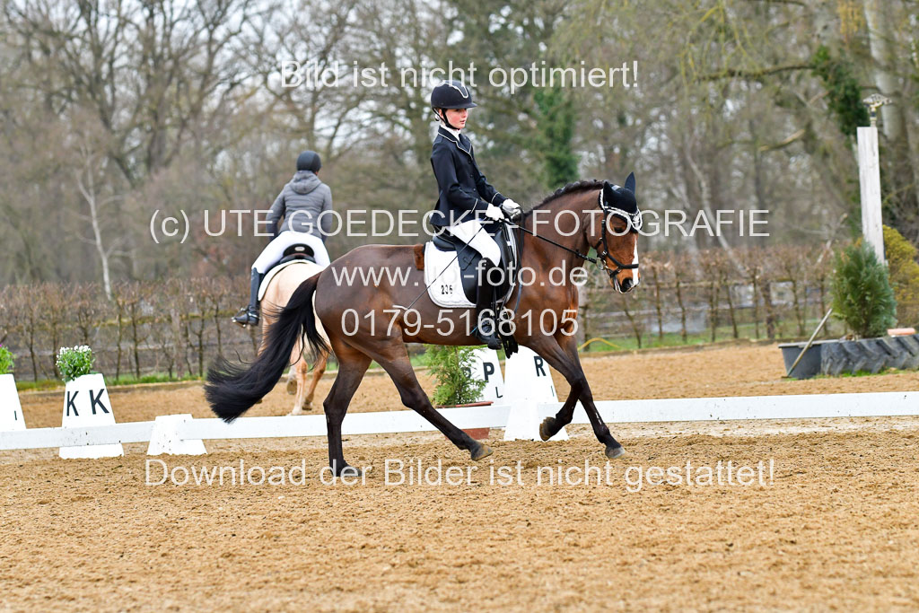 Reitsportzentrum Bremervörde | 170421 Dressurreiter A_354