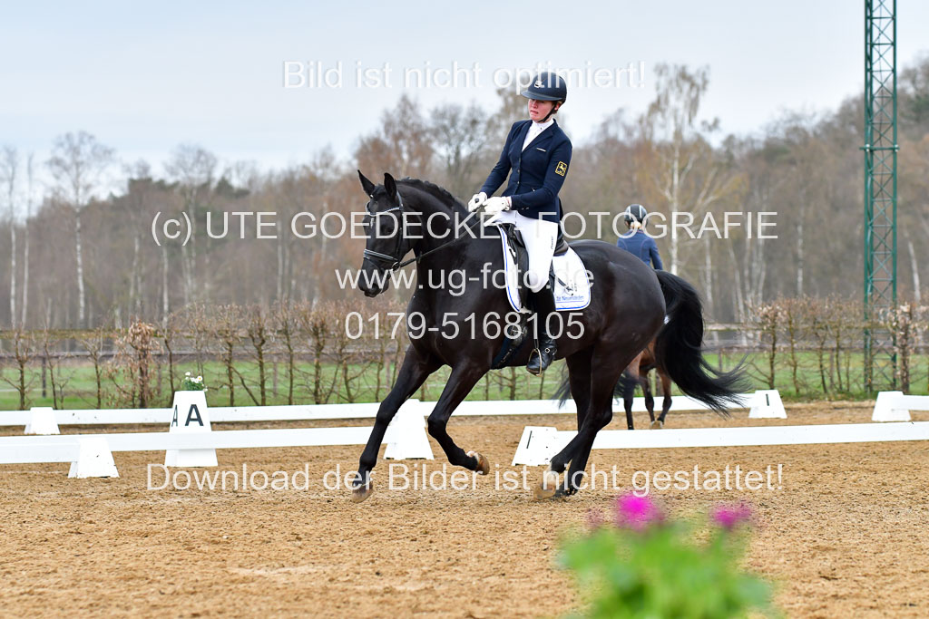 Reitsportzentrum Bremervörde | 170421 Dressurreiter A_361