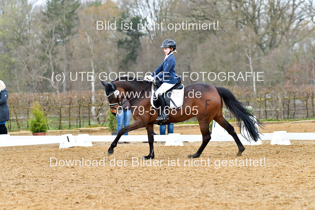 Reitsportzentrum Bremervörde | 170421 Dressurreiter A_379