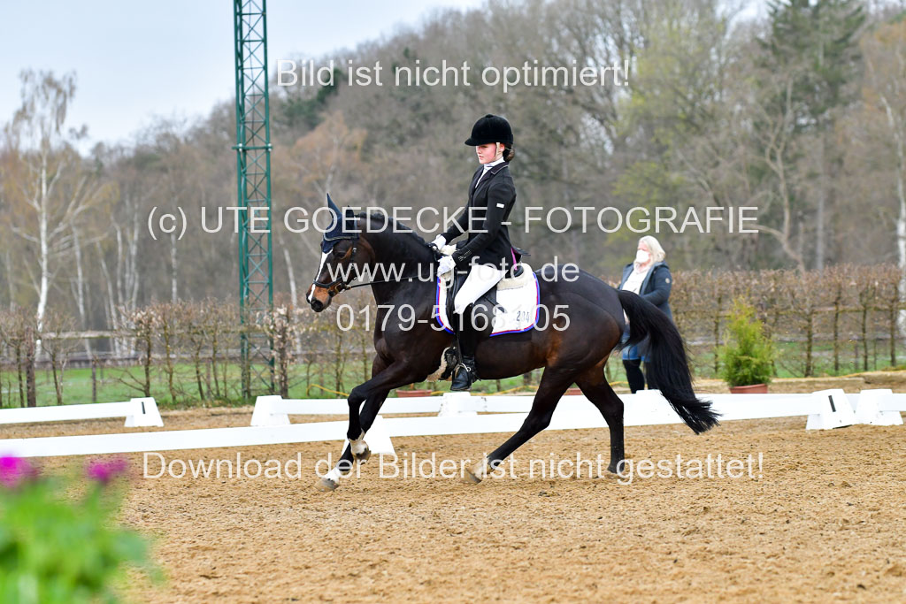 Reitsportzentrum Bremervörde | 170421 Dressurreiter A_382 