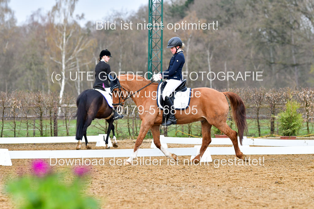 Reitsportzentrum Bremervörde | 170421 Dressurreiter A_389