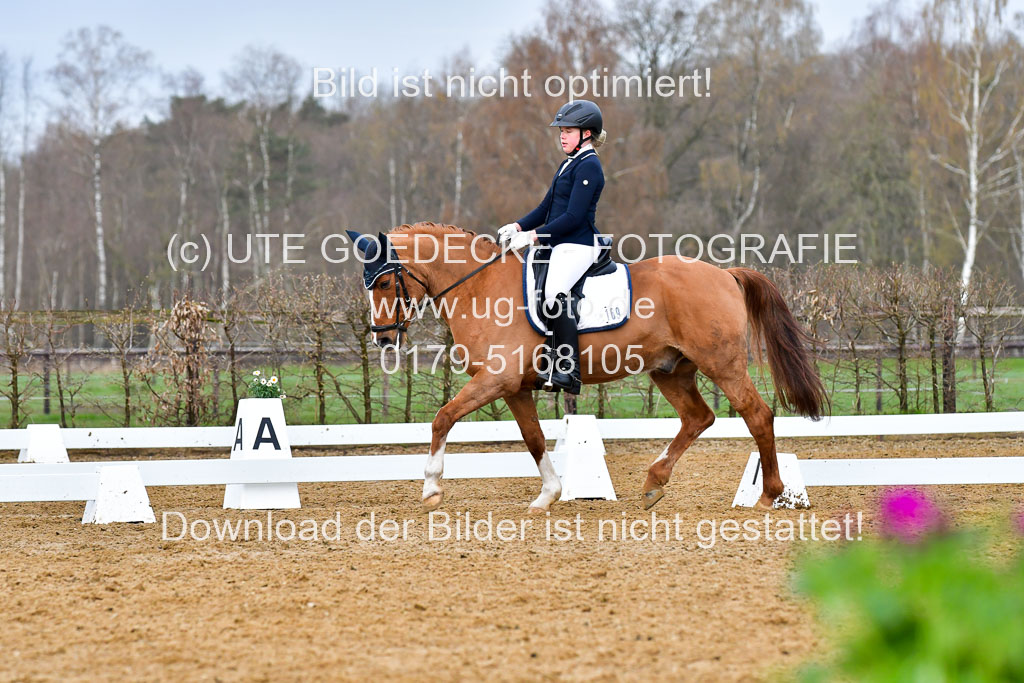 Reitsportzentrum Bremervörde | 170421 Dressurreiter A_391 