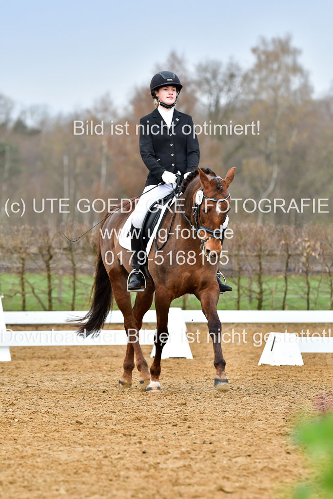 Reitsportzentrum Bremervörde | 170421 Dressurreiter A_393 