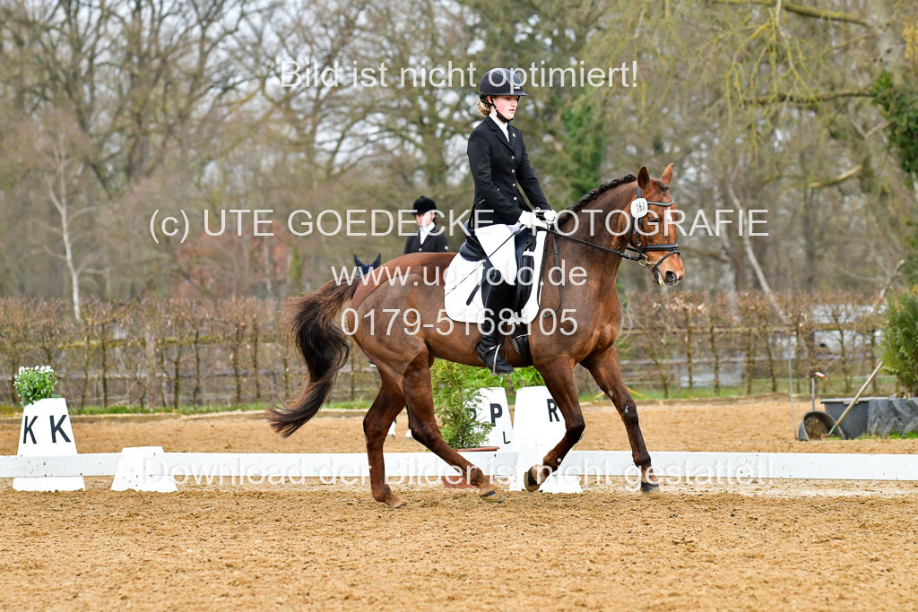 Reitsportzentrum Bremervörde | 170421 Dressurreiter A_399